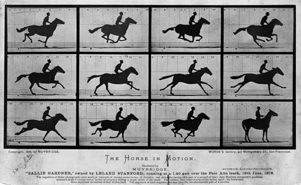 Eadweard Muybridge The Horse in Motion 