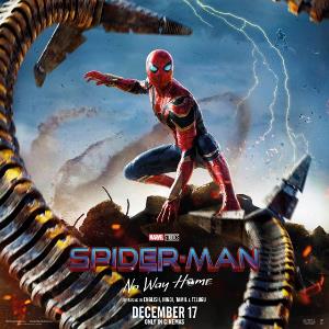 Spider-Man: No Way Home  poster